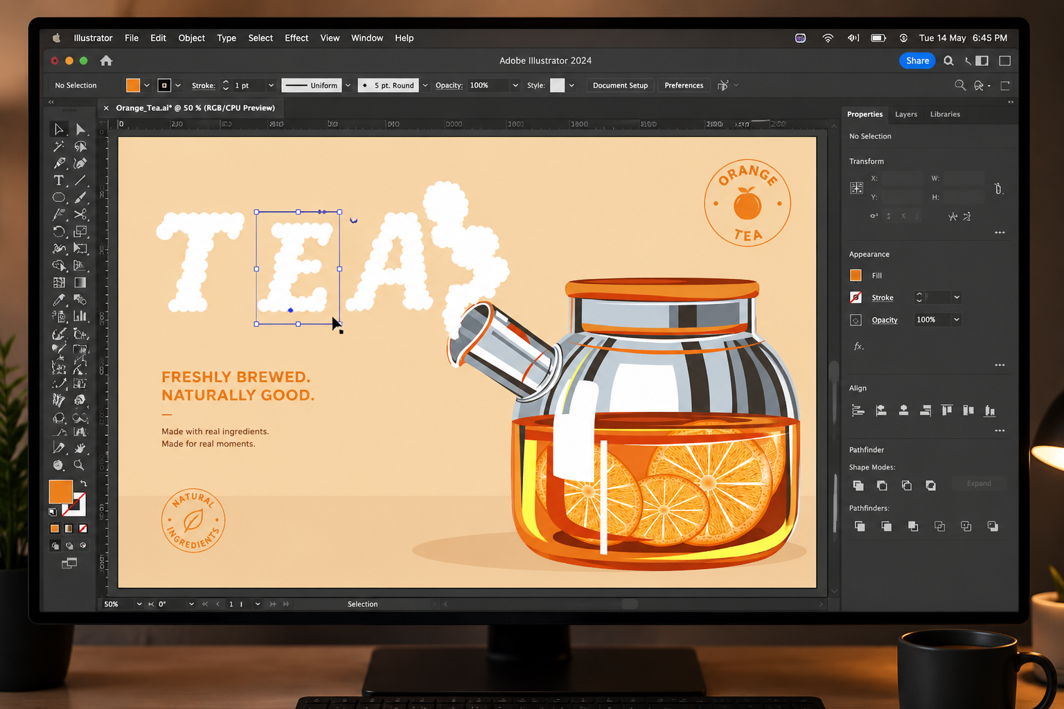 Vector tracing and digital painting project